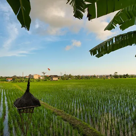 Sotis Villas Canggu Extérieur photo