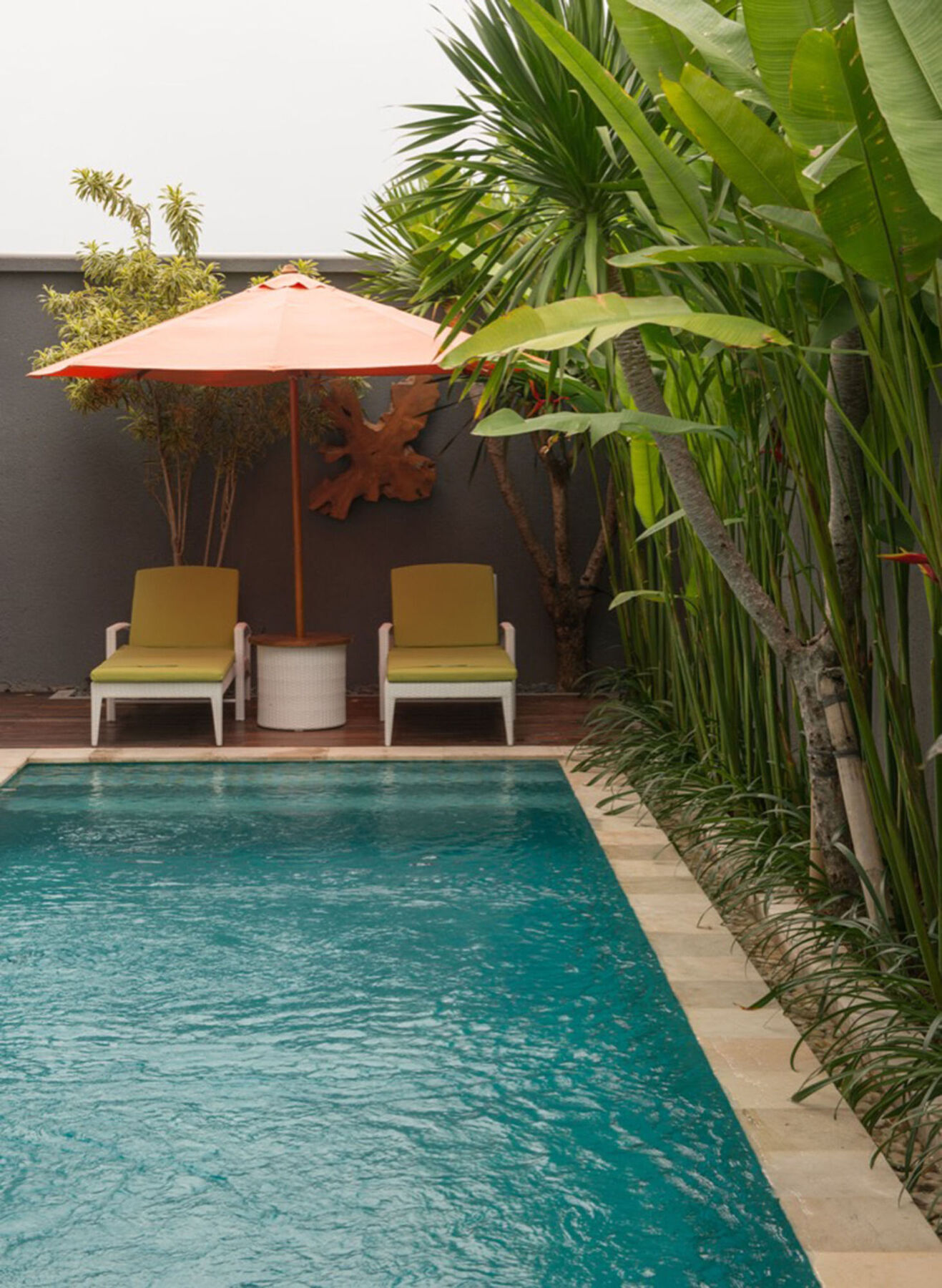 Sotis * Canggu